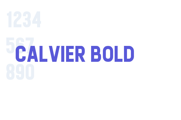 Calvier Bold