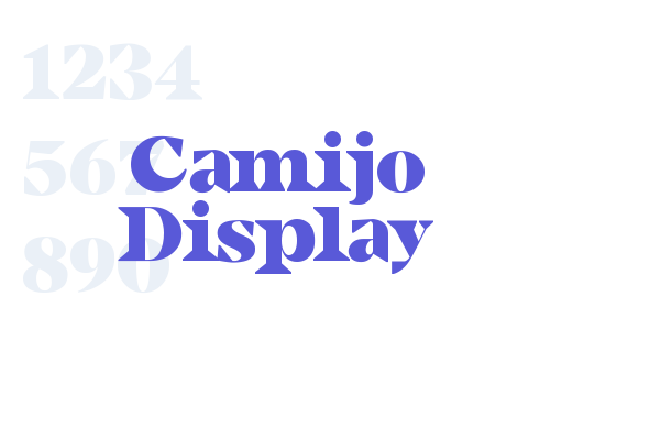 Camijo Display