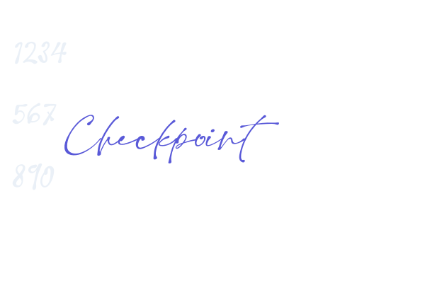 Checkpoint