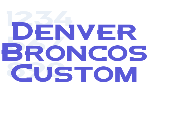 Denver Broncos Custom