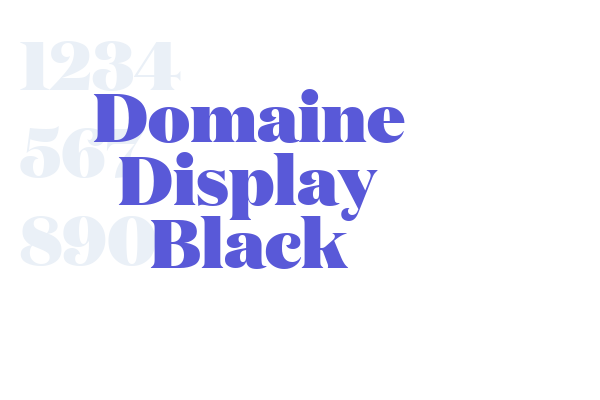 Domaine Display Black