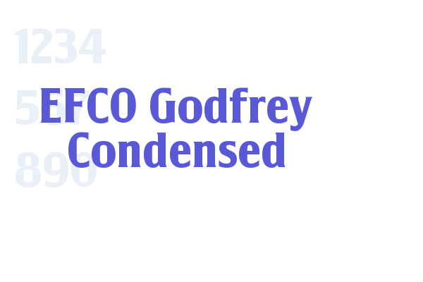 EFCO Godfrey Condensed