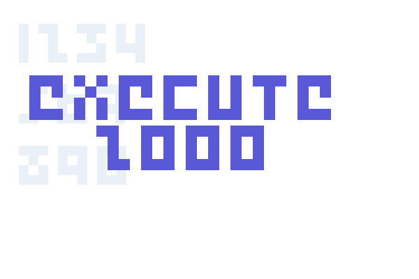 Execute 2000