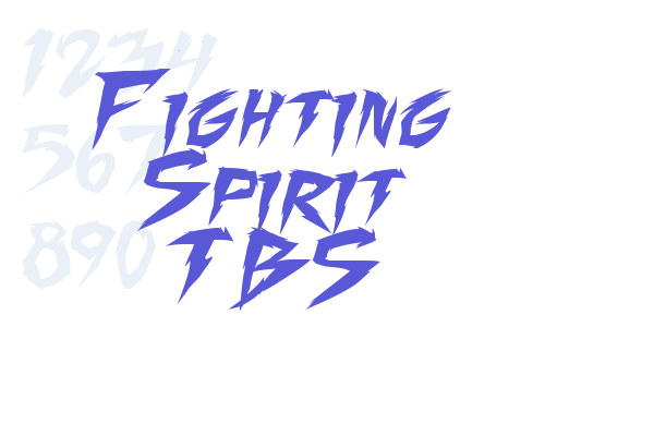 Fighting Spirit TBS