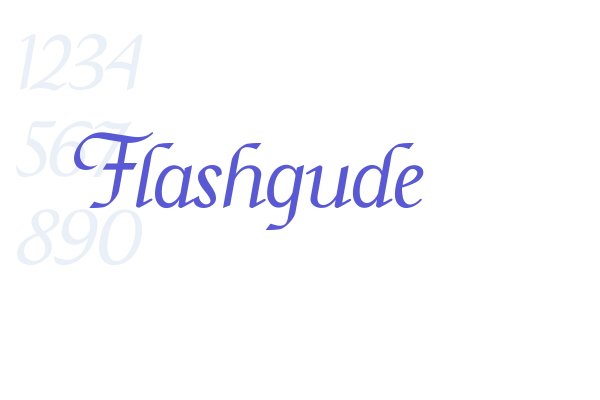 Flashgude