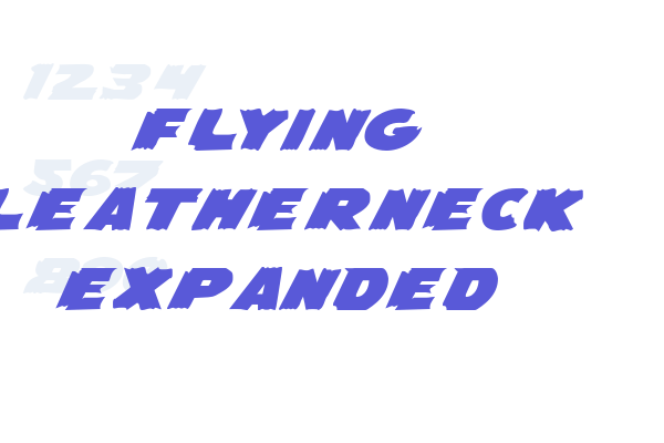 Flying Leatherneck Expanded