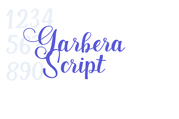 Garbera Script