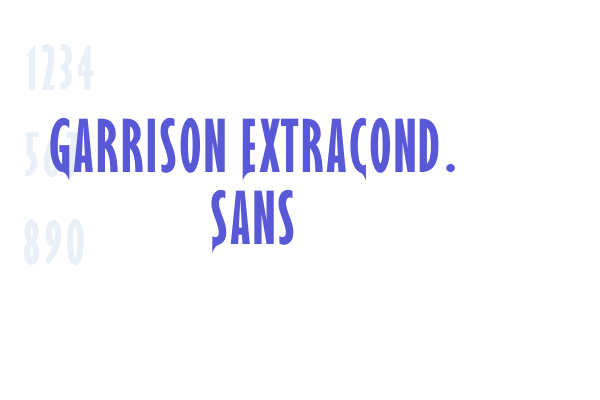 Garrison ExtraCond. Sans