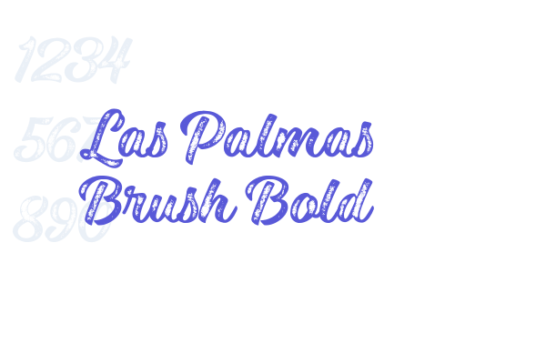 Las Palmas Brush Bold