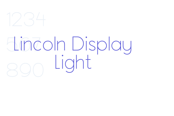 Lincoln Display Light