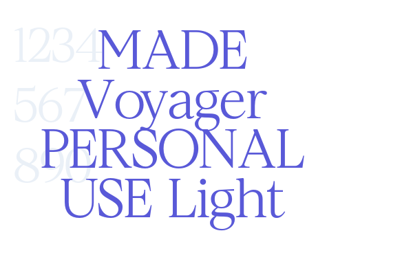 MADE Voyager PERSONAL USE Light