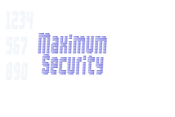 Maximum Security