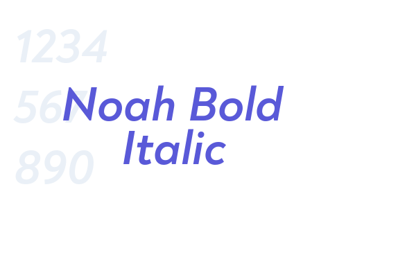 Noah Bold Italic