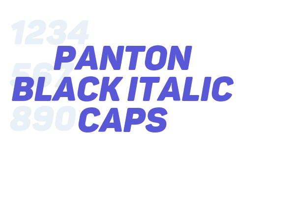 Panton Black italic Caps