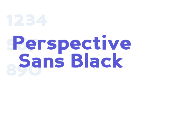 Perspective Sans Black