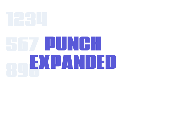 Punch Expanded