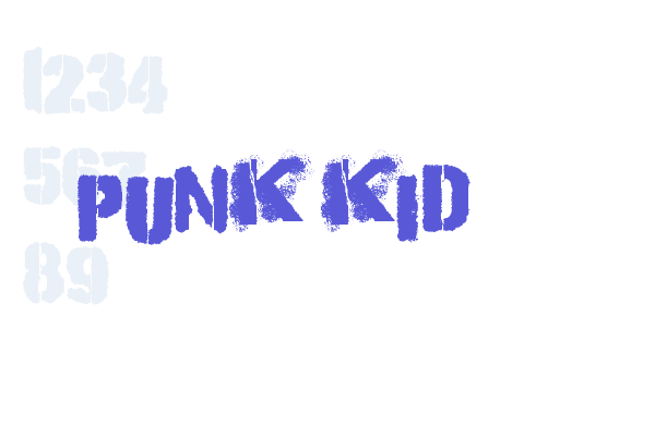 Punk Kid