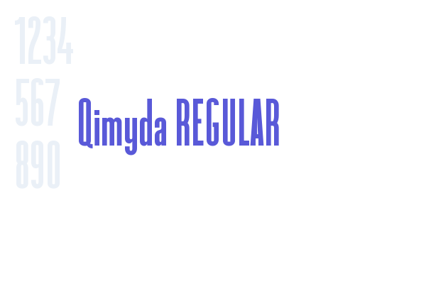 Qimyda REGULAR