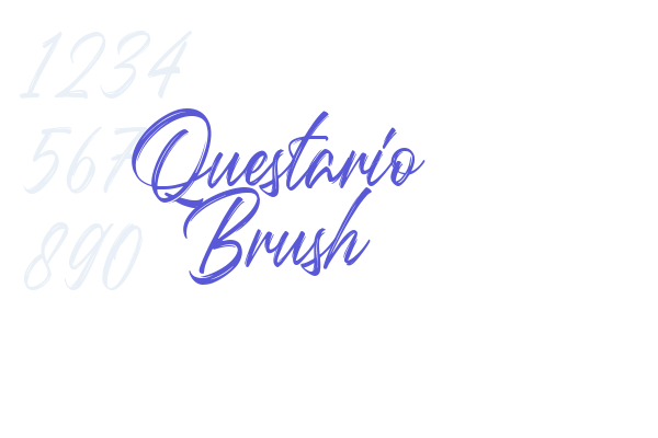 Questario Brush