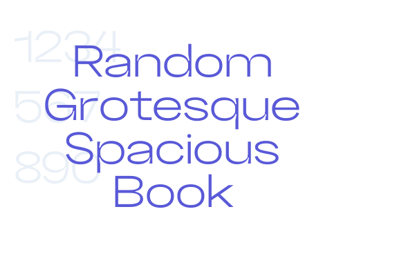 Random Grotesque Spacious Book