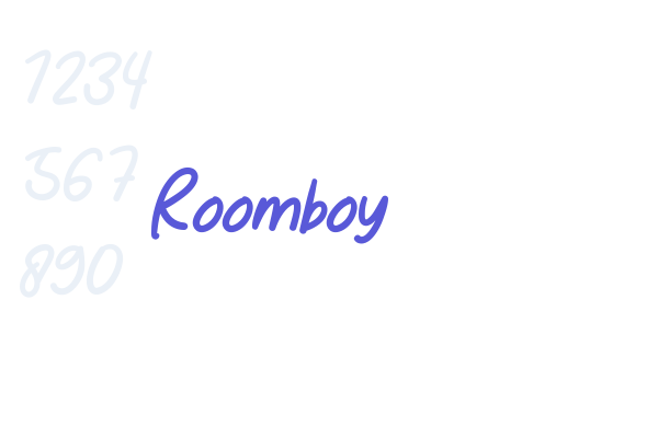 Roomboy