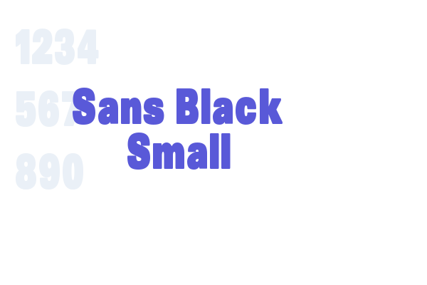 Sans Black Small