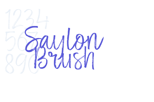 Saylon Brush