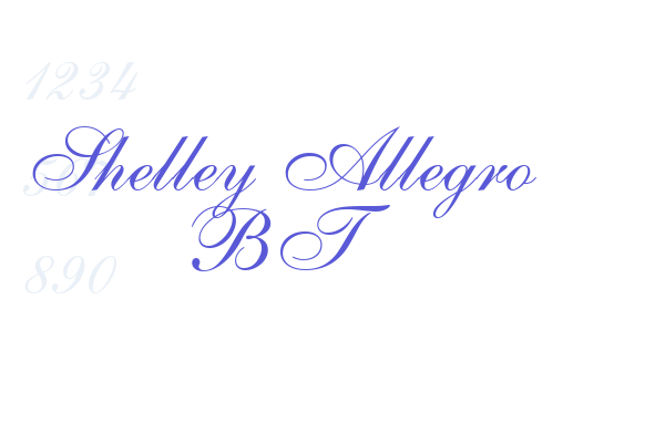 Shelley Allegro BT