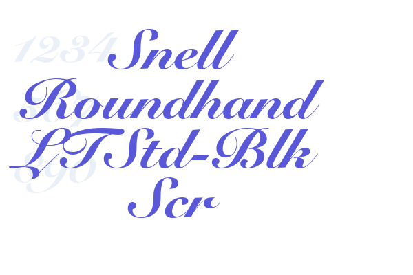 Snell Roundhand LTStd-Blk Scr