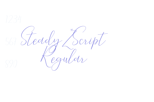 Steady Script Regular