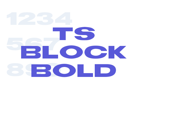 TS Block Bold