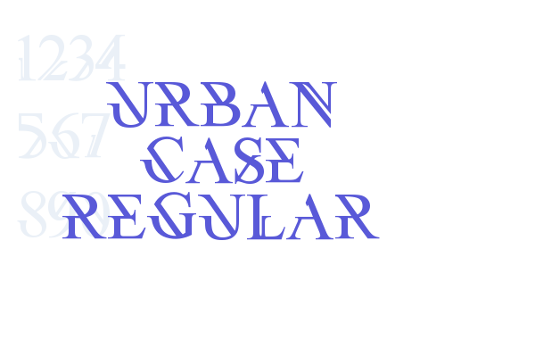 Urban Case Regular