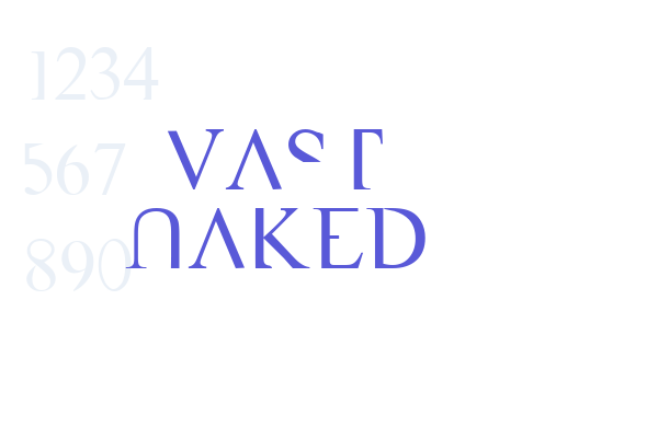 VAST Naked