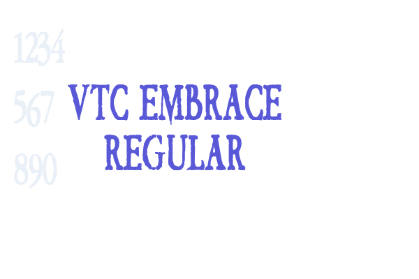 VTC Embrace Regular