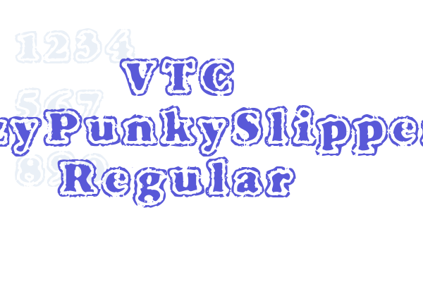 VTC FuzzyPunkySlippers Regular