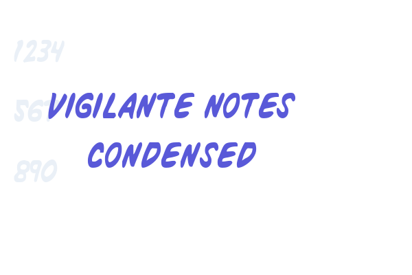 Vigilante Notes Condensed