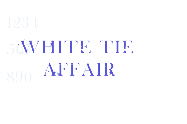 White Tie Affair