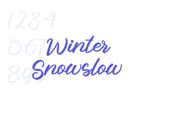 Winter Snowslow