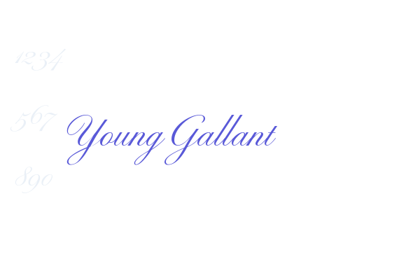 Young Gallant