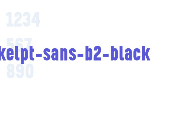 kelpt-sans-b2-black