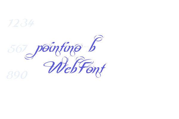 pointino-b WebFont