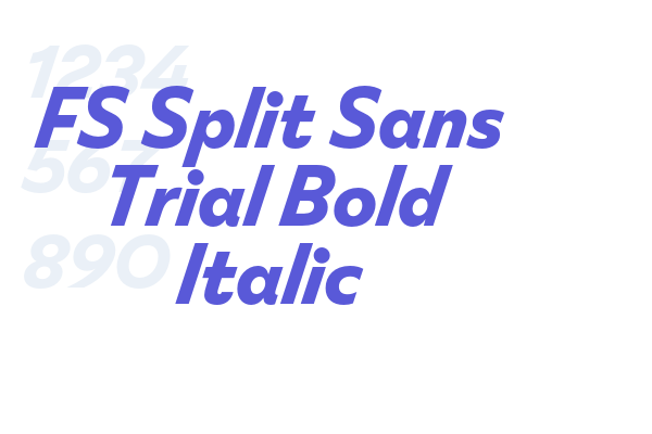 FS Split Sans Trial Bold Italic