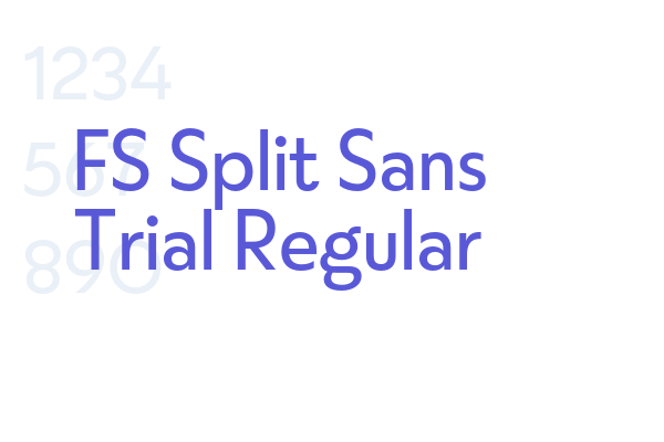 FS Split Sans Trial Regular