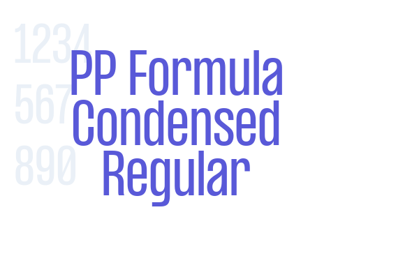 PP Formula Condensed Regular