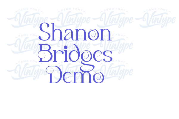 Shanon Bridges Demo