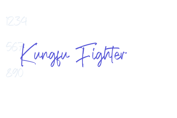 Kungfu Fighter