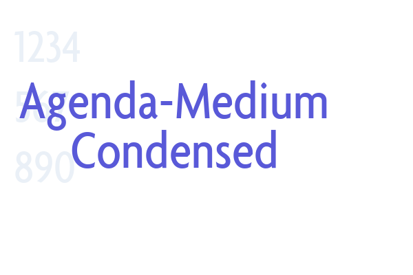 Agenda-Medium Condensed