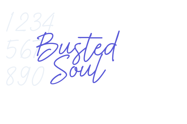 Busted Soul