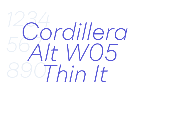 Cordillera Alt W05 Thin It