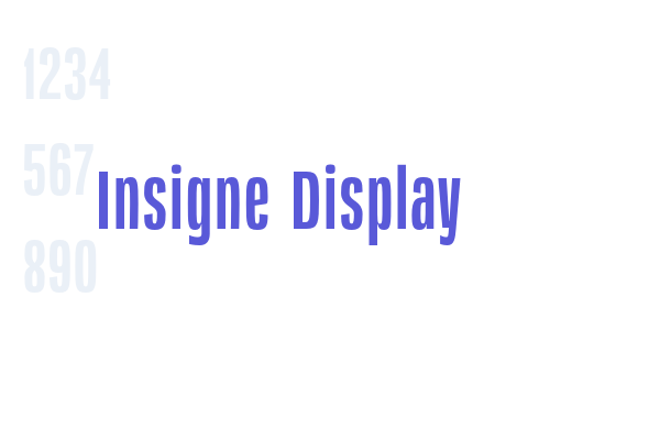 Insigne Display